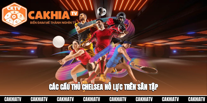 Các cầu thủ Chelsea nỗ lực trên sân tập